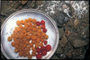 Snow Peak Tableware Plate (L)